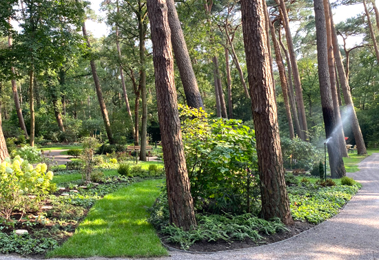 a-gruener-raum-der-erinnerung-lauheide.jpg