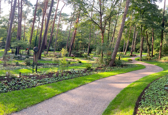 aa-gruener-raum-der-erinnerung-lauheide.jpg