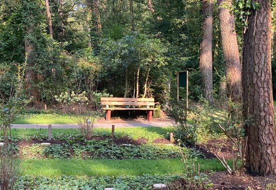 h-gruener-raum-der-erinnerung-lauheide.jpg