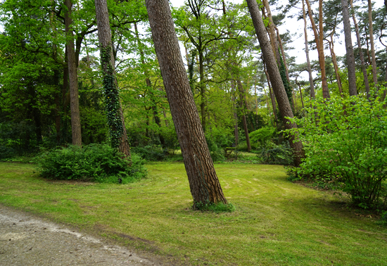 1-i-gruener-raum-der-erinnerung-lauheide.jpg
