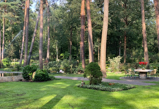 z1-8--gruener-raum-der-erinnerung-lauheide.jpg